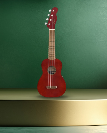 Instrumentos musicales